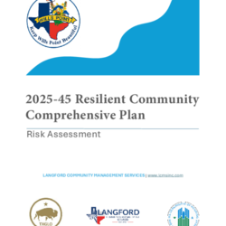 Wills Point Risk Assessment thumbnail icon